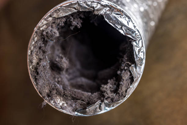 Best Air Duct Cleaning Company Near Me  in Longboat Key, FL